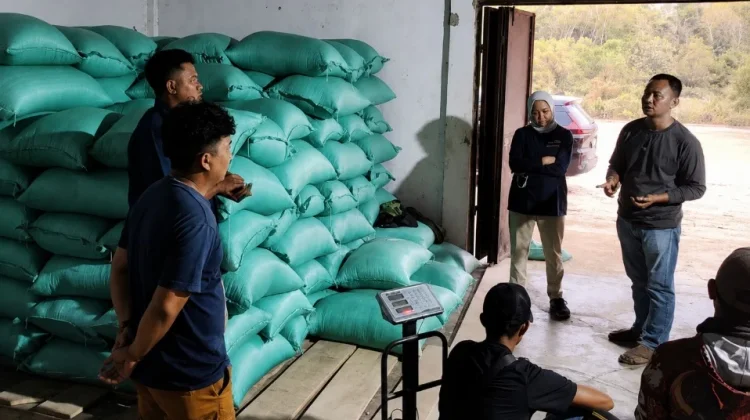 Bulog Lampung Utara Pantau Mitra Makloon Way Kanan