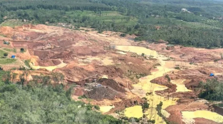 Publik Soroti Tuntutan 1 Tahun Kasus Tambang Emas Ilegal