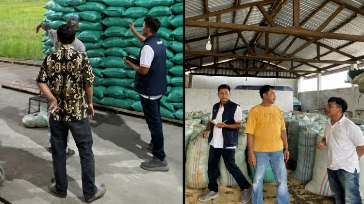 Bulog Lampung Utara Pantau Mitra Penggilingan Padi di Way Kanan