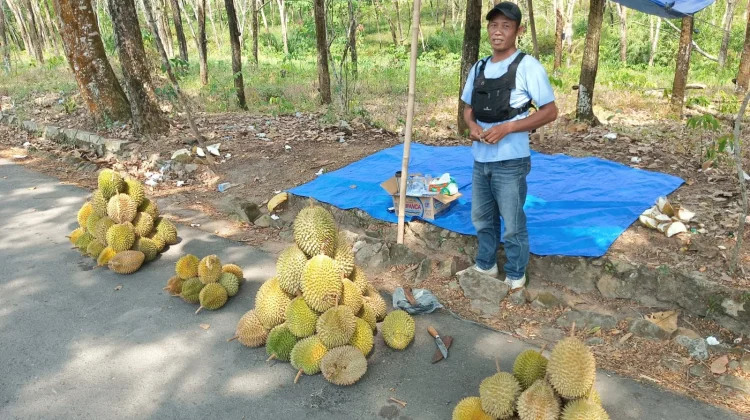 Pedagang Durian Musiman Manfaatkan Ramainya Pengguna Jalan
