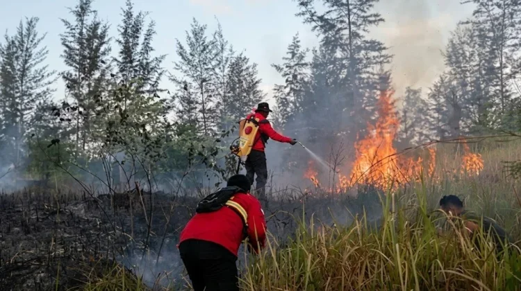 Pemkab Way Kanan Terbitkan Edaran Antisipasi Karhutla
