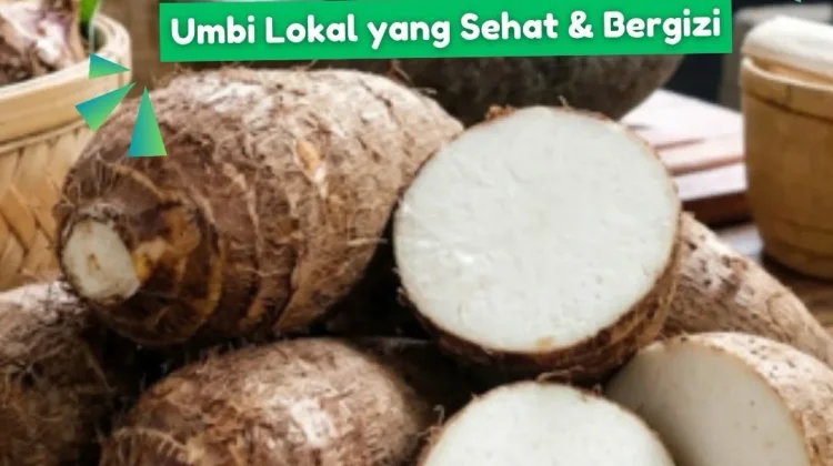 Kenalan dengan Kimpul: Umbi Lokal yang Lezat, Bergizi