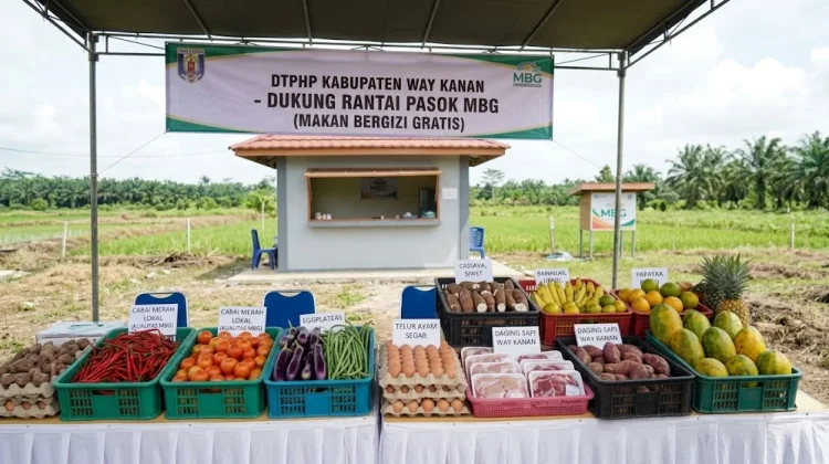 DTPHP Way Kanan Dorong MBG Serap Produk Petani Lokal