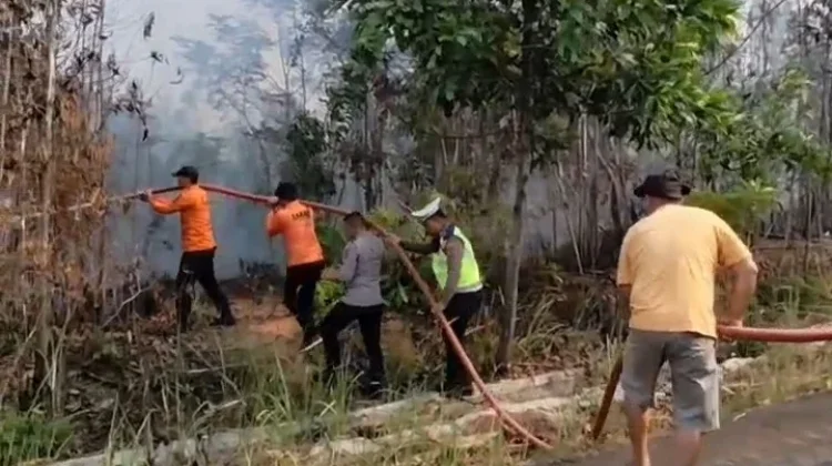 Dua Hektare Lahan Terbakar, BPBD Way Kanan Turunkan Tim