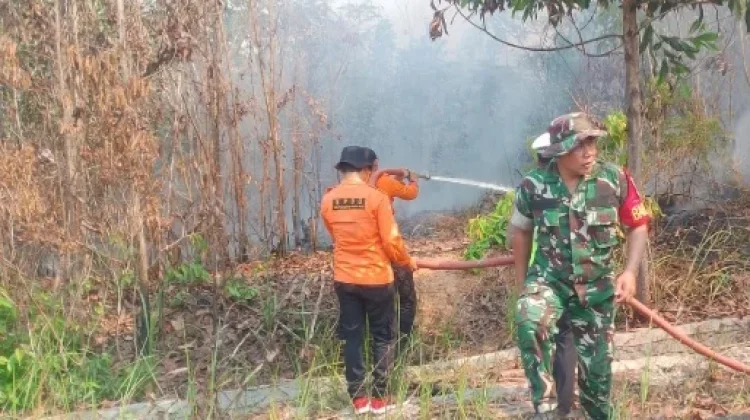 BPBD Way Kanan Imbau Warga Waspadai Kebakaran Hutan dan Lahan