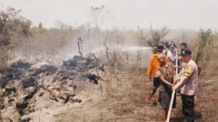 Tujuh Hektare Lahan di Blambangan Umpu Terbakar