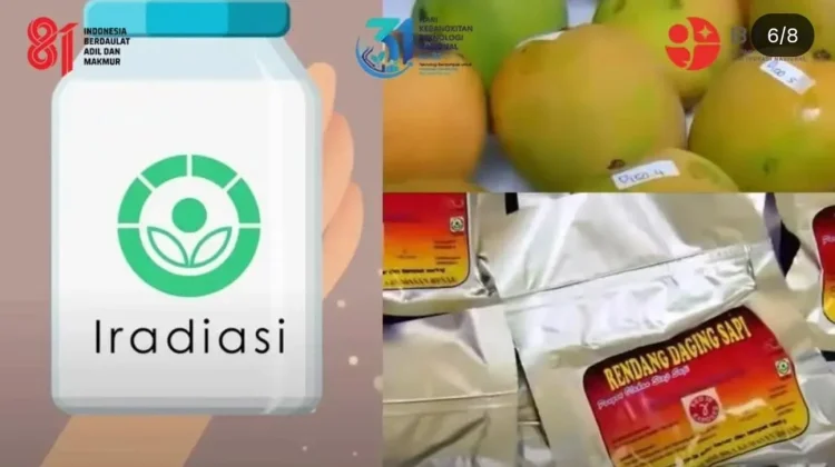 Iradiasi Siasati Kerugian Pangan Nasional