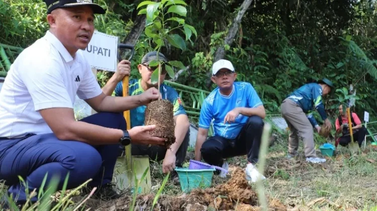 Gerakan ASRI, Pemkab Lampung Barat Tanam Pohon Alpukat