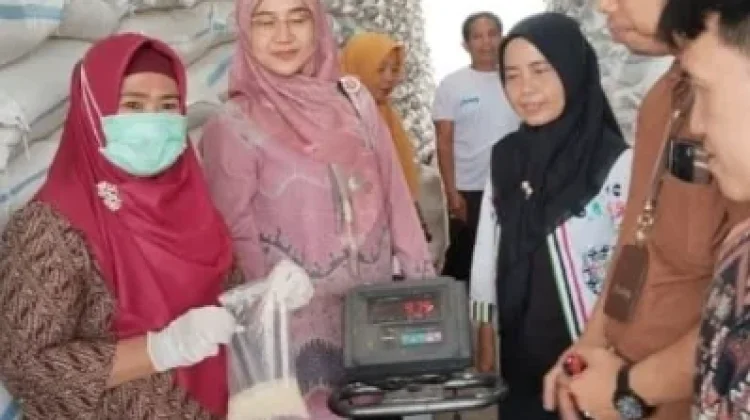 Bulog Lampung Utara Pastikan Beras Bantuan Pangan dalam Kondisi Baik