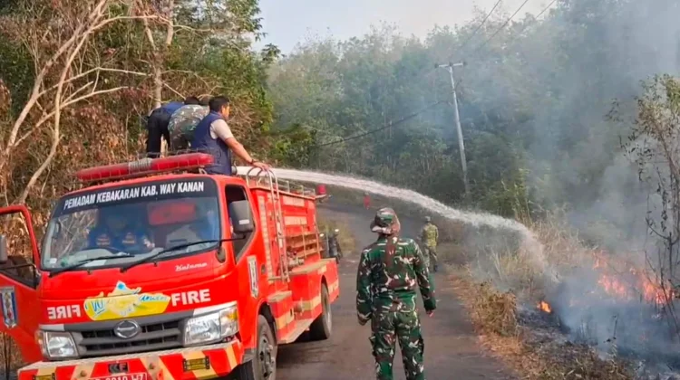 Babinsa dan Damkar Way Kanan Berjibaku Padamkan Kebakaran Lahan
