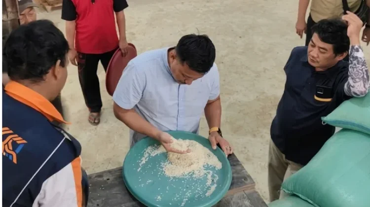 Bulog Lampung Utara Pastikan Kualitas Beras Mitra Makloon di Way Kanan