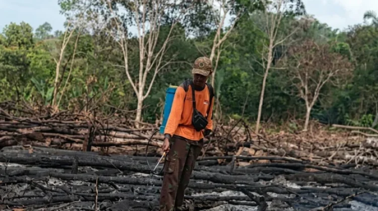 Ini Wilayah Way Kanan Rentan Kekeringan dan Kebakaran Lahan