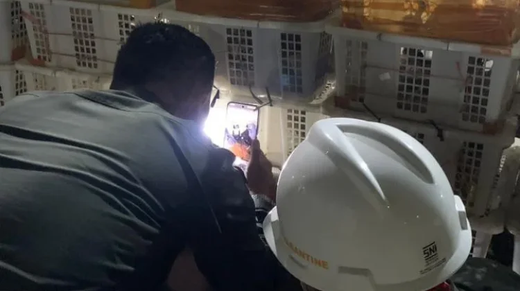 Penyelundupan Ribuan Burung Liar Digagalkan di Bakauheni