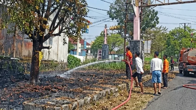 BPBD Way Kanan Padamkan Kebakaran Lahan di Blambangan Umpu