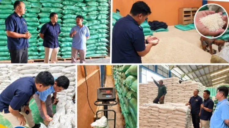 Bulog Lampung Utara Mengecek Beras Bantuan Pangan di Gudang Pisang Baru
