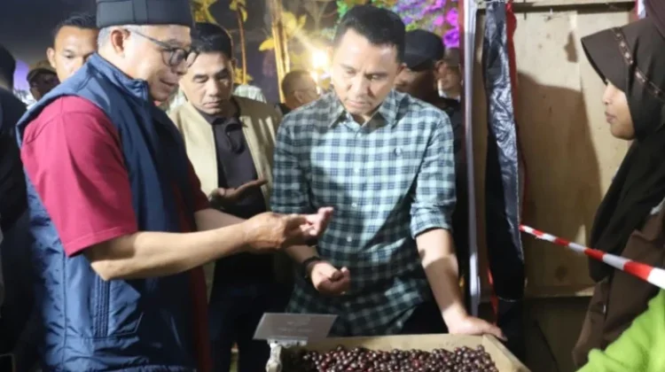Lampung Barat Didorong Naik Kelas Lewat Hilirisasi Kopi