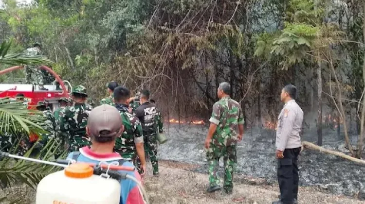 Lahan Perkebunan Warga Terbakar, Tim Gabungan Bergerak Cepat