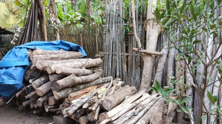 Kayu dari Lingkungan Sekitar Dimanfaatkan Menjadi Bahan Bakar