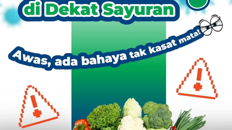 Suka Menyimpan Daging Mentah di Dekat Sayuran? Awas, Ada Bahaya Tak Kasat Mata!