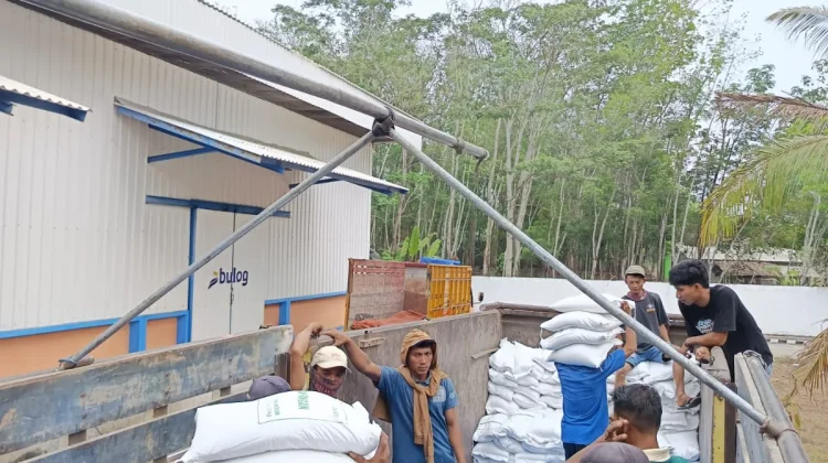 Stok Beras Bulog Pisang Baru Capai 4.500 Ton