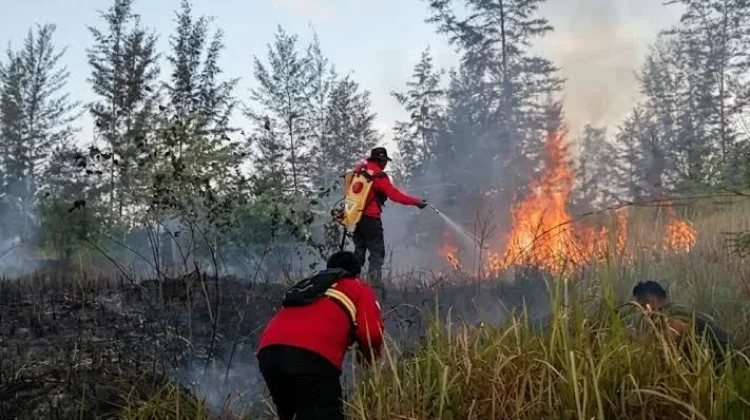 BPBD Way Kanan Ingatkan Warga Waspadai Karhutla