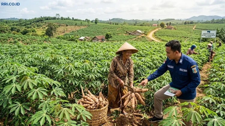 Way Kanan Miliki 8.000 Hektare Areal Tanam Singkong