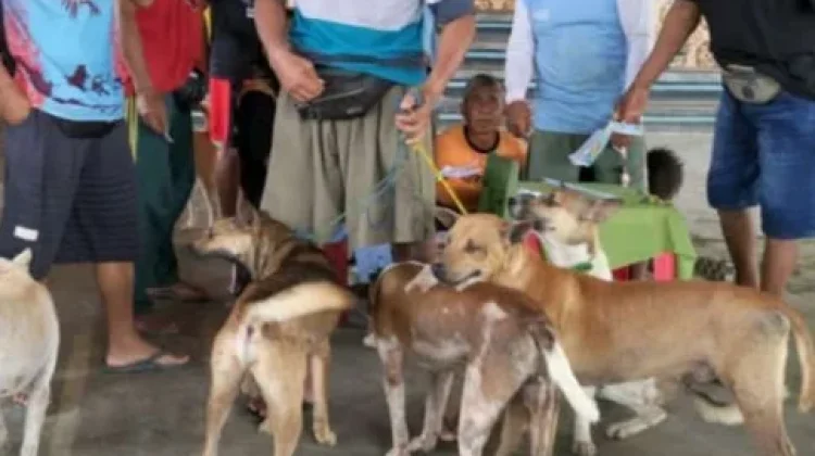 Vaksinasi Rabies Menjangkau Sejumlah Wilayah Way Kanan