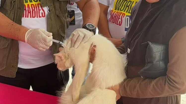 PDHI Lampung Tekankan Pentingnya Vaksinasi Rabies