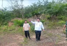 Pemkab Way Kanan Siapkan Lahan Sekolah Rakyat