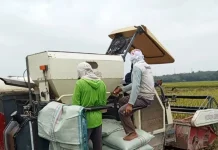Bulog Lampung Utara Serap Gabah Petani Way Kanan