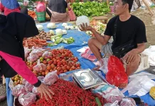 Harga Cabai dan Telur di Way Kanan Naik di Hari Kedua Ramadan