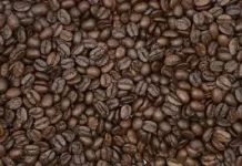 Pemkab Way Kanan Promosikan Kopi Robusta sebagai Ikon Daerah