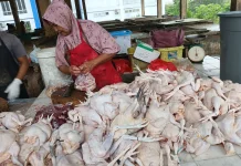 Penjualan Daging Ayam di Pasar Tradisional Meningkat