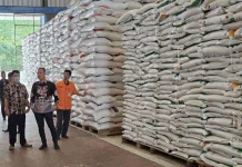 Bulog Sebut Stok Beras di Way Kanan Aman hingga Lebaran