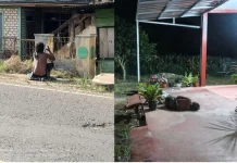 Pemkab Way Kanan Didesak Serius Tangani Masalah ODGJ