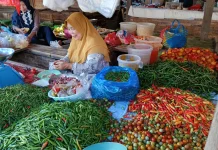 Harga Cabai Stabil jelang Idul Fitri