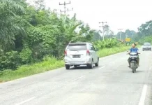 Pemudik Pilih Jalinsum Way Kanan Fasilitas Lengkap