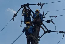 PLN Lakukan Pemeliharaan Jaringan tanpa Pemadaman di Way Kanan
