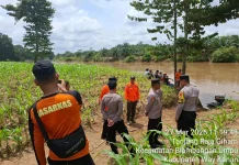 Tim Gabungan Sisir Sungai Way Umpu, Dua Pemuda Belum Ditemukan hingga Jumat Sore