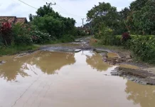 Jalan di Banjit Way Kanan Rusak, Warga Keluhkan Lubang dan Genangan Air