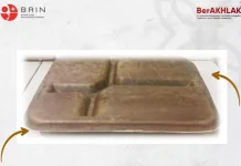 BRIN Kembangkan Kemasan dari Pelepah Pisang, Tantangan Ketahanan Cairan