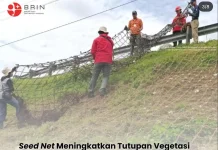 Jaring Ijuk dan Sabut Kelapa Bawa Benih, BRIN Ciptakan Seed Net Murah dan Efisien