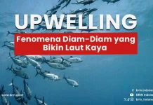 Kemarau 2026 Picu Upwelling, Laut Indonesia Dapat Pupuk Alami