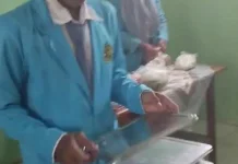MBG Kembali Normal di MA Miftahul Ulum Way Tuba