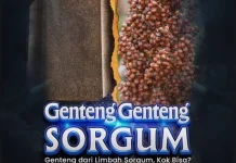 BRIN Ciptakan Genteng Komposit dari Limbah Sorgum