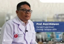 BRIN Kembangkan Premix Combo, Tekan Kehilangan Energi Pakan hingga 12 Persen