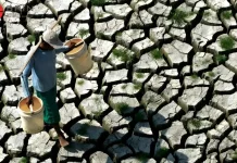 Godzilla El Niño Ancam Lumbung Padi Pantura Jawa, Kemarau Kering April-Oktober 2026