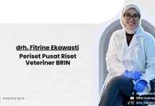 Intervensi Manusia pada Penolakan Induk Hewan Harus Berbasis Ilmu Pengetahuan