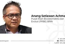 Penemuan Tikus Tompotika Ubah Peta Klasifikasi Mamalia Asia Tenggara