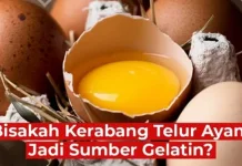 BRIN Kembangkan Gelatin Halal dari Kerabang Telur Ayam, Kurangi Ketergantungan Im